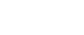 Zelsius Logo